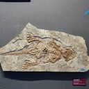 石嘴山2025免費(fèi)鑒定收購(gòu)青銅器—古玩私人收購(gòu)聯(lián)系電話
