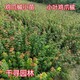 圖片_20231012214737