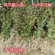 圖片_20231012214806