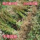 圖片_20231012214816