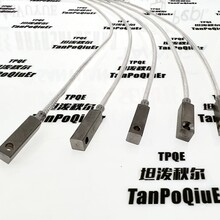 上海坦泼秋尔PT100/PT1000方柱型温度传感器