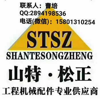 沃爾沃A25DA30D液壓風扇馬達VOE11116529原裝現貨