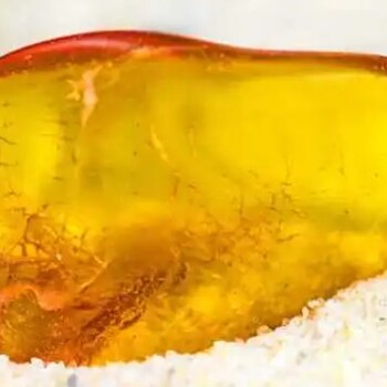 成都金銀珠寶玉石鑒定檢測機構(gòu)收費，四川琥珀蜜蠟鑒定