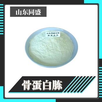 同盛供應(yīng)生物發(fā)酵蛋白原料雞骨蛋白胨廠家
