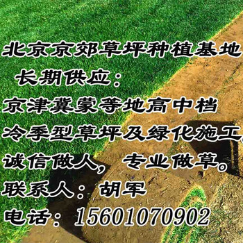 平泉草坪基地寬城綠化草皮圍場(chǎng)公園草坪皮承德縣小區(qū)草坪興隆