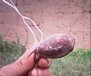 阿拉善盟唐代銅鏡交易收購(gòu)中心—收購(gòu)玉器電話號(hào)碼