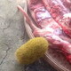 發發助手