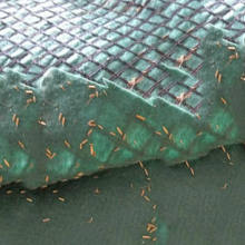 潍坊生态植被毯供应