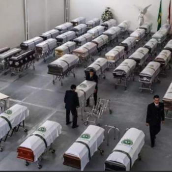 華裔遺體回國