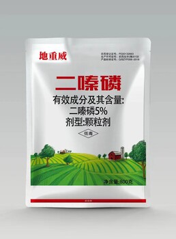 聯(lián)苯噻蟲胺地下害蟲顆粒劑殺蟲劑