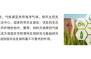 2025海南（三亞）新型農(nóng)藥化肥農(nóng)資展覽會圖片