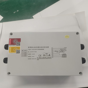新国标LED光源自动应急电源消防应急照明装置