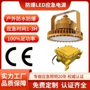 60W防爆燈工業(yè)款應(yīng)急燈防腐防水防爆三防應(yīng)急照明電源