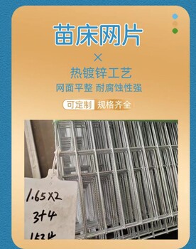 保山熱鍍鋅網(wǎng)片定制絲徑3+4網(wǎng)孔30*130大棚用育苗床網(wǎng)廠片