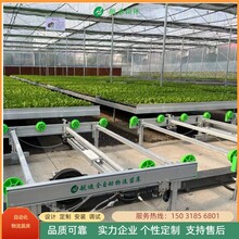 航迪苗床廠家2025年9月實(shí)現(xiàn)智能化育苗床新突破圖片