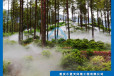 丽江植物园喷雾加湿设备/人造雾景观/雾森造景设备/小篮天环境
