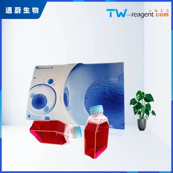 小鼠腸黏膜上皮細(xì)胞完全培養(yǎng)基