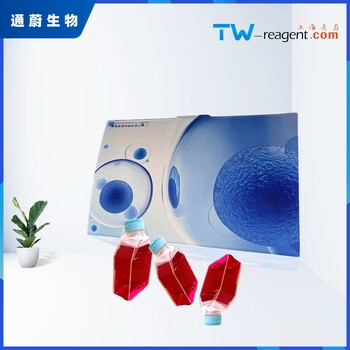 小鼠肺微血管內皮細胞培養(yǎng)基