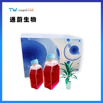 小鼠肺微血管內皮細胞培養(yǎng)基