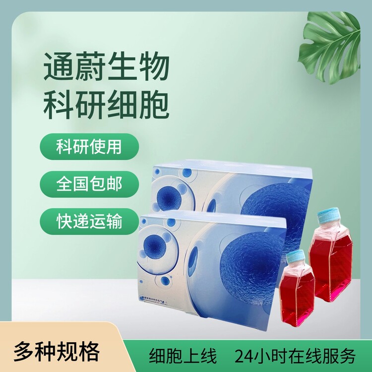 人腎小球內(nèi)皮細(xì)胞培養(yǎng)基