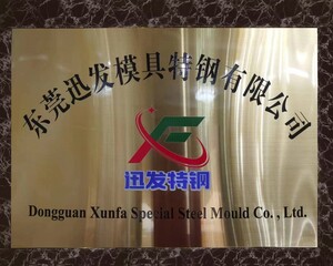 东莞迅发模具特钢有限公司