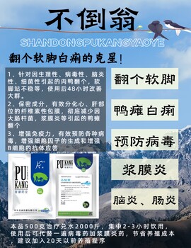 肉鴨翻個卡翅站不穩(wěn)快用不倒翁