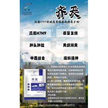 肉鴨流感用什么藥，肉鴨流感高傷亡難治愈快用齊天