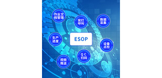 图片0