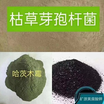 哈茨木霉菌可以和地衣芽孢桿菌混合使用