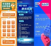 跨境電商亞馬遜OZON跟賣自建鏈接鋪貨ERP軟件貼牌