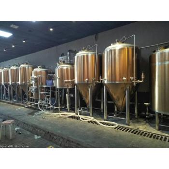 邯郸酒店2000升精酿原浆啤酒设备酿造啤酒的设备