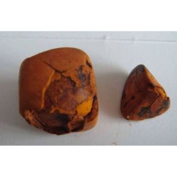 西藏上门鉴定估价陨石—上门收购陨石
