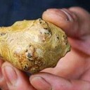 哪里私人收購（牛寶牛黃臺中）快速交易當天變現(xiàn)
