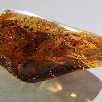 江西光緒元寶哪里現(xiàn)金收購(gòu)—玉器收購(gòu)中心電話
