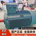 內(nèi)蒙古宏達振動電機YZS-3-20.25KW振動器國標銅芯