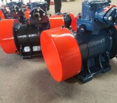 BZF-12防爆型倉壁振動器振動電機粉塵防爆電機供應電機廠家