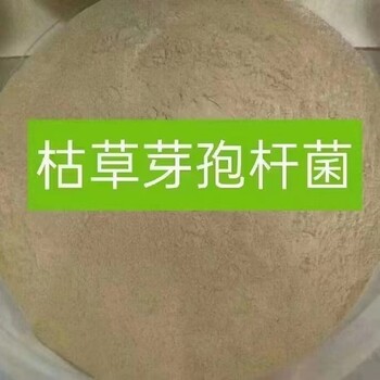 用了枯草芽孢桿菌有什么好處