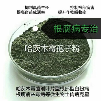 廠家供貨哈茨木霉的好處知道多少