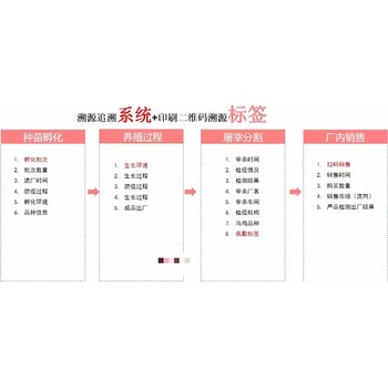 溯源追溯系统软件二维码吊牌标识食品安全追溯系统营销商城