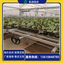 溫室花卉栽培床穴盤育苗移動苗床防腐工藝設(shè)計