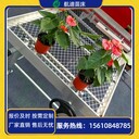 溫室航迪苗床熱鍍鋅網(wǎng)片育苗床廠家-生產(chǎn)供應(yīng)