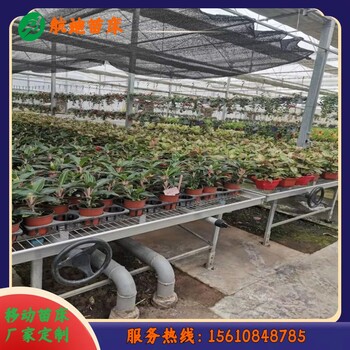 栽培床熱鍍鋅育苗床廠家定制苗床網(wǎng)片