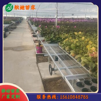航迪溫室芹菜育苗用移動(dòng)苗床-強(qiáng)烈推薦