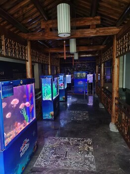 景觀海洋展海洋動物表演出租海洋生物科普展租賃公司