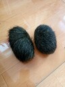 海南奇石多少錢收購—雞寶5萬一g