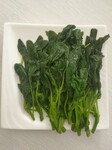 琛青宜鮮速凍野莧菜涼拌做餡，酒店特色食材，40斤一袋