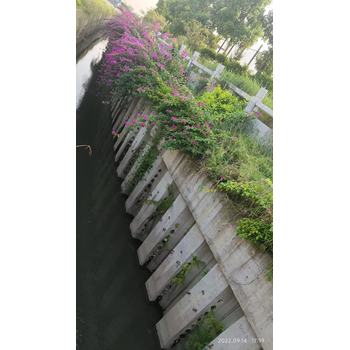 惠州市600板樁生態(tài)板樁預(yù)制件