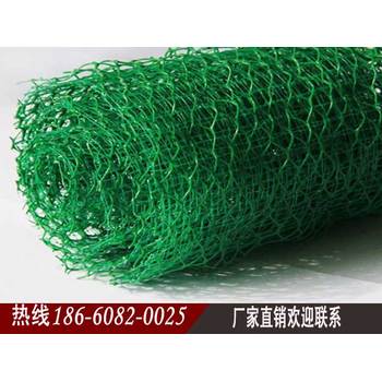 龍巖三維植被網生產公司三維土工網墊