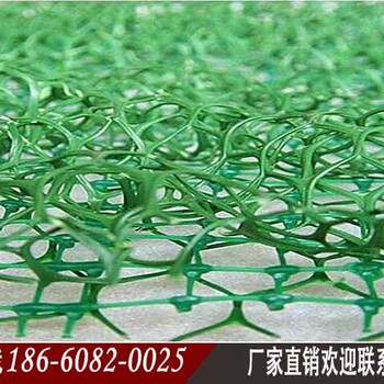龍巖三維植被網生產公司三維土工網墊