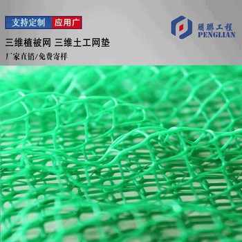 龍巖三維植被網生產公司三維土工網墊